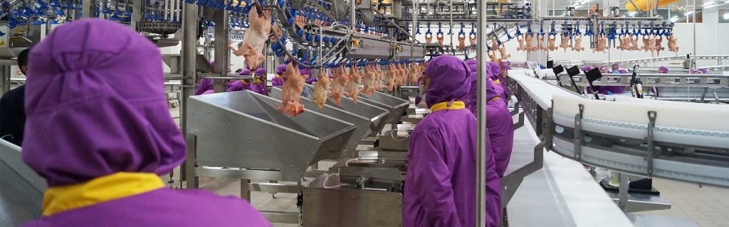 Team working on the processing line